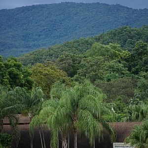 Chiang Mai Night Safari