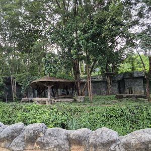 Golden Tiger exhibit