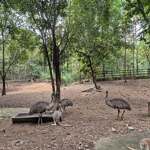 Kangaroo / Emu exhibit