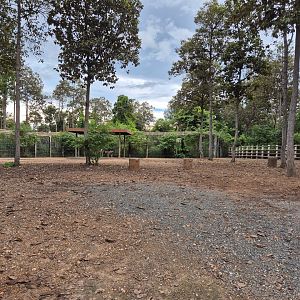 Zebra/Giraffe/Ostrich Savanah