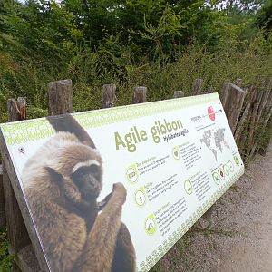 Signage example 7.7.24