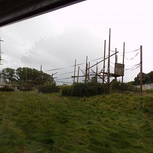 Chimpanzee enclosure 7.7.24