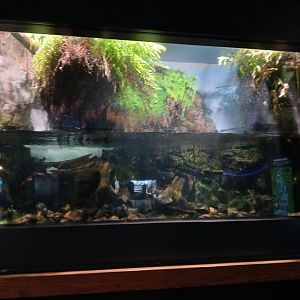 Atlantic Salmon Enclosure - Seen Jan 29 2025