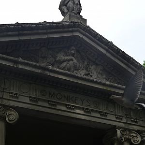 Astor Court - The Old Monkey House