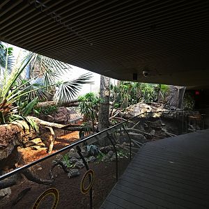 Madagascar! - Spiny Forest - Main Exhibit