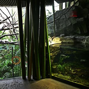 Madagascar! - Masola - Exhibits