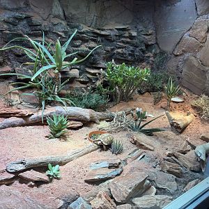 Serrated Tortoise Enclosure