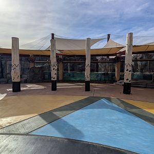 New African Penguin enclosure