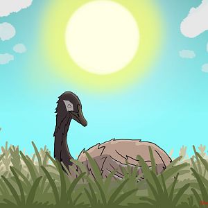 Opisthodactylus patagonicus