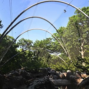 Sea Bird Aviary - Overview