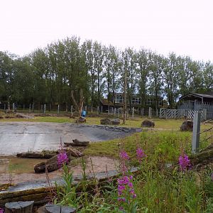 Black rhinoceros enclosure 7.7.24