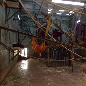 Bonobo indoors 7.7.24