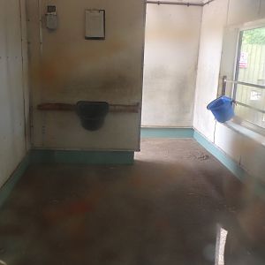 Vicuña indoors 7.7.24