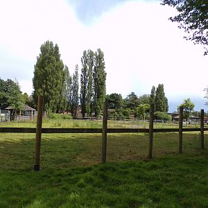 Zebra enclosure 7.7.24