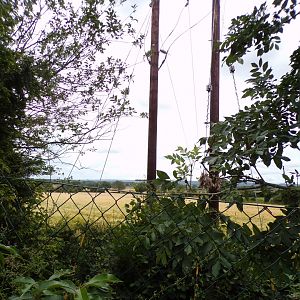 View outside of the zoo 7.7.24