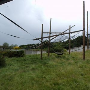 Chimpanzee enclosure 7.7.24