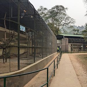 Row of aviaries for birds