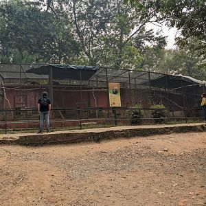 Civet and marten row of cages