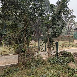 Back of the girafe complex of exhibits