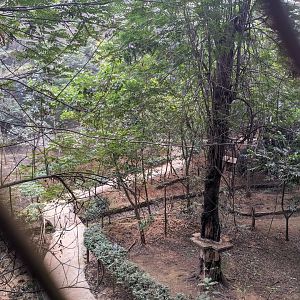 Inside the walkthrough aviary