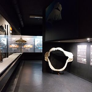 Exposition 2. Education Room