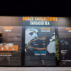 Exposition 2. Education Room