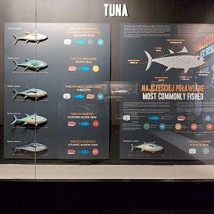 Exposition 2. Education Room