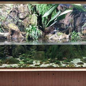 Exposition 4. At the Border of Water and Land - Congo