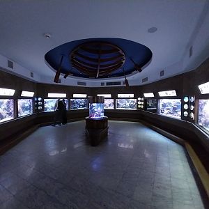 Exposition 6. Coral Reefs - General view