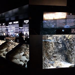 Exposition 5. Aquatic Animals of the World