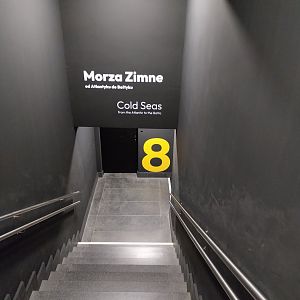 Exposition 8. Cold Seas