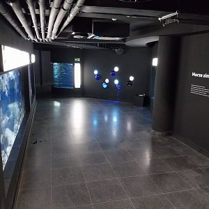 Exposition 8. Cold Seas