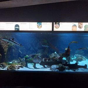 Exposition 8. Cold Seas -