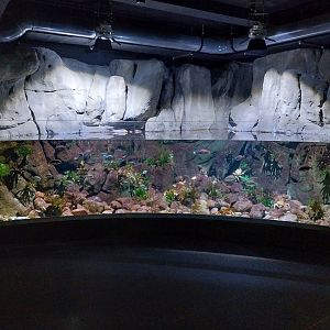 Exposition 8. Cold Seas - Red Porgy aquarium