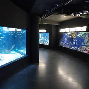 Exposition 8. Cold Seas