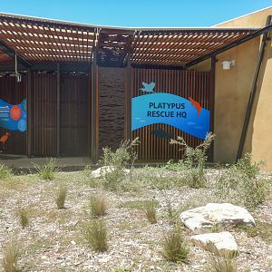 Platypus HQ Entrance