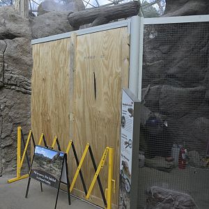 Desert - Gila Monster (Heloderma suspectum)/Beaded Lizard (Heloderma horridum) Exhibit