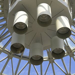Desert - Superb Starling (Lamprotornis superbus) Nest in Dome Fixture