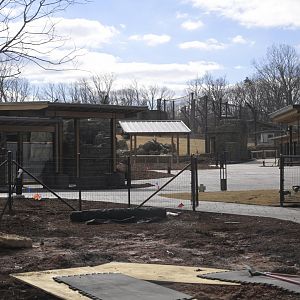 Asia - Main Plaza Construction Progress