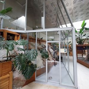 Zoo Sierakowice - Serval (Leptailurus serval) enclosure