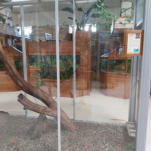 Zoo Sierakowice - American Red Squirrel (Tamiasciurus hudsonicus) enclosure
