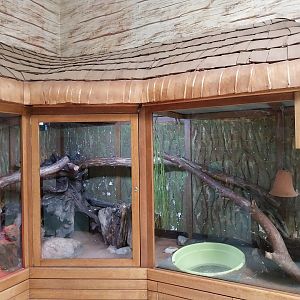 Zoo Sierakowice - Reticulated Python (Malayopython reticulatus)