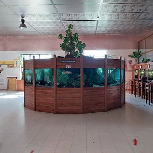 Zoo Sierakowice - General view