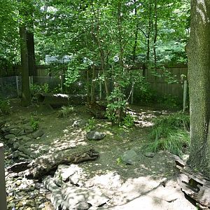 Children's Zoo - Asian Small-clawed Otter (Aonyx cinereus) Exhibit