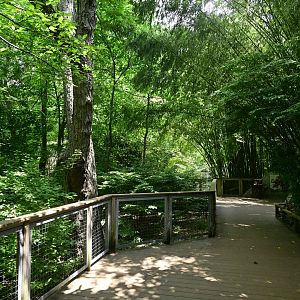 Children's Zoo - Landscape and Scenery