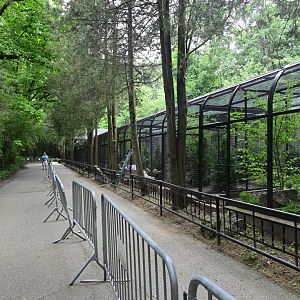 Pheasant Aviaries - Construction