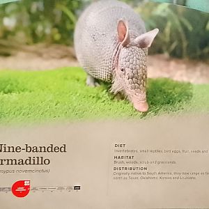 Signage for new species 020225