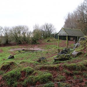 South American Tapir Enclosure