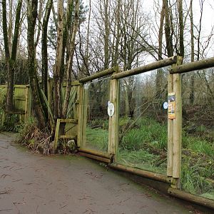 Giant Otter Enclosure