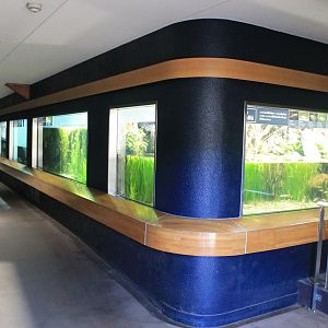 tanks in Aquatic Life Building